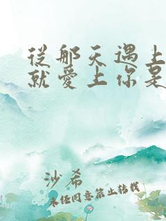 从那天遇上你我就爱上你是什么歌