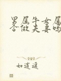 男属牛女属龙适合做夫妻吗好吗