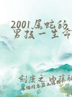 2001属蛇的男孩一生命运如何