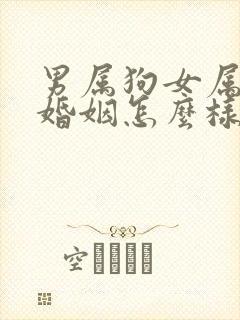 男属狗女属羊的婚姻怎么样