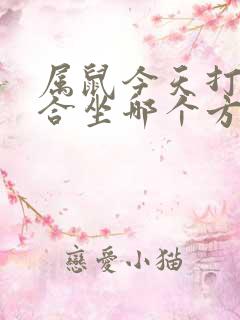 属鼠今天打牌适合坐哪个方位