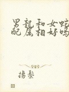 男龙和女蛇的婚配属相好吗