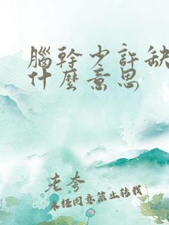 脑干少许缺血灶什么意思