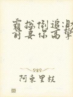 霸总倒追:财阀前妻你高攀不起小说