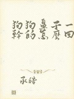 狗狗鼻子一直是干的怎么回事