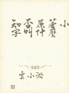 知否原著小说名字叫什么