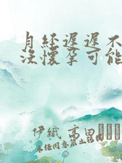 月经迟迟不来又没怀孕可能是什么原因