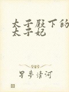 太子殿下的傻子太子妃