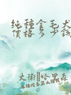 纯种金毛犬幼犬价格多少钱一只