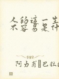 人的这一生真的不容易是什么歌