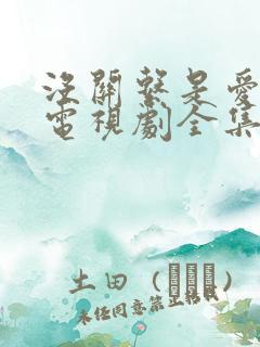 没关系是爱情啊电视剧全集免费观看完整版