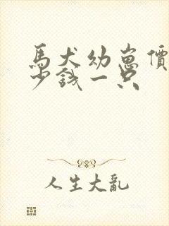 马犬幼崽价格多少钱一只