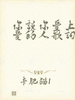 你说你爱上不该爱的人歌词歌词是什么意思