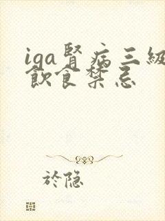 iga肾病三级饮食禁忌