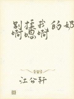 别揉我的奶头嗯啊嗯啊