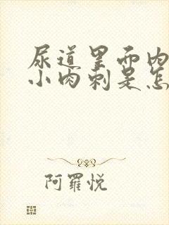 尿道里面内长些小肉刺是怎么回事啊