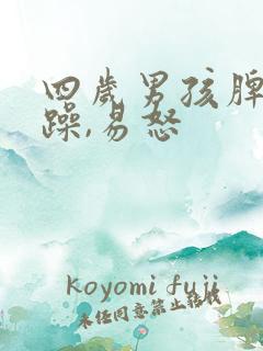 四岁男孩脾气暴躁,易怒