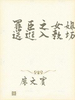 罪臣之女姐妹被送进入教坊司的小说