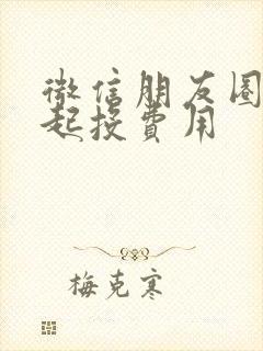 微信朋友圈广告起投费用