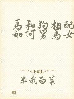 马和狗相配婚姻如何男马女狗