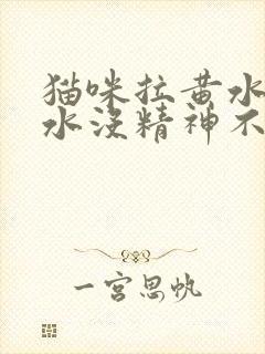 猫咪拉黄水吐黄水没精神不吃不喝