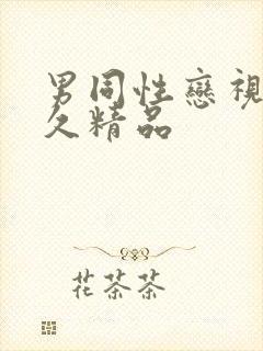 男同性恋视频久久精品