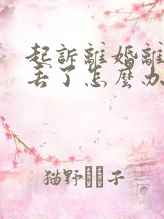 起诉离婚离婚证丢了怎么办