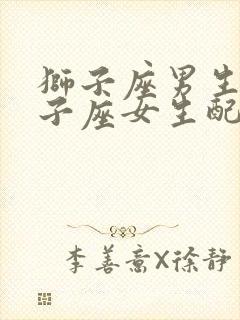 狮子座男生和双子座女生配对指数