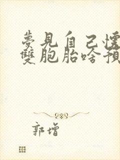 梦见自己怀孕是双胞胎啥预兆呢