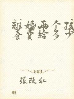 离婚两个孩子抚养费给多少钱一个月