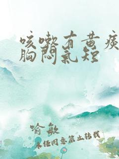 咳嗽有黄痰气喘胸闷气短