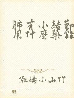 肺有小结节痰多用什么药能去痰