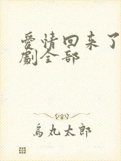 爱情回来了电视剧全部