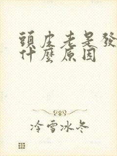 头皮老是发麻是什么原因