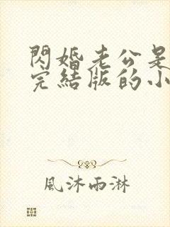 闪婚老公是豪门完结版的小说