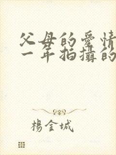 父母的爱情是哪一年拍摄的