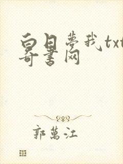 白日梦我txt奇书网
