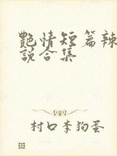 艳情短篇辣文小说合集