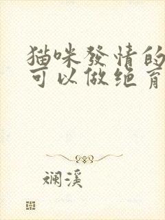 猫咪发情的时候可以做绝育吗