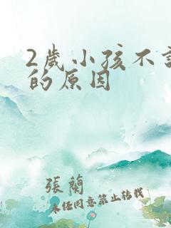 2岁小孩不说话的原因