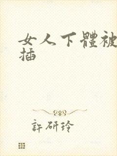 女人下体被男人插