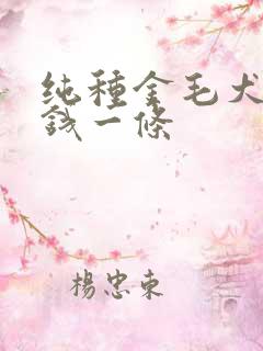 纯种金毛犬多少钱一条