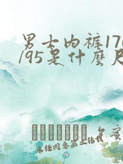 男士内裤170/95是什么尺码