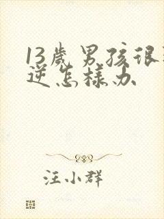 13岁男孩很叛逆怎样办