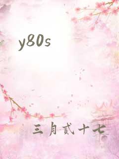 y80s