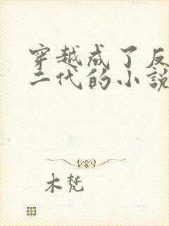 穿越成了反派富二代的小说