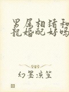 男属相猪和女属龙婚配好吗