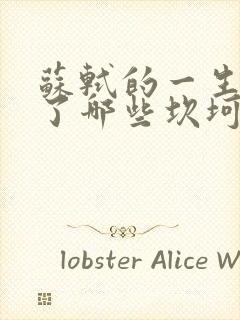 苏轼的一生经历了哪些坎坷