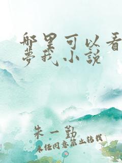 哪里可以看白日梦我小说