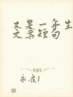 又是一年生日的文案短句